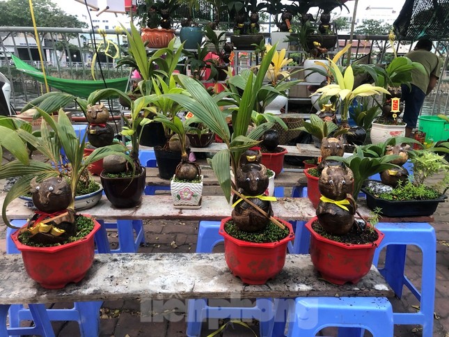 Chèo thuyền SUP lướt sông Sài Gòn đi chợ hoa Tết ảnh 13