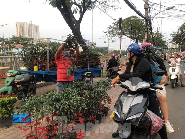 Chèo thuyền SUP lướt sông Sài Gòn đi chợ hoa Tết ảnh 15