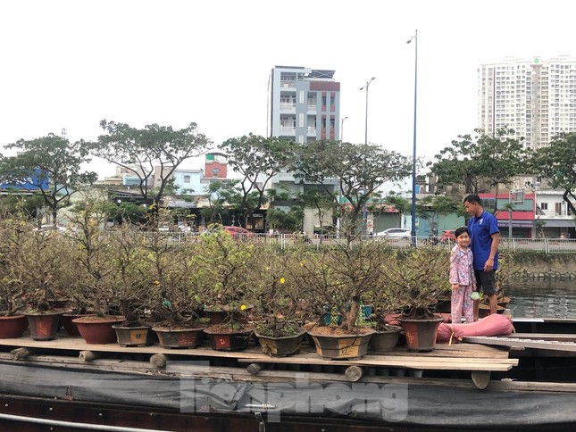 Chèo thuyền SUP lướt sông Sài Gòn đi chợ hoa Tết ảnh 9
