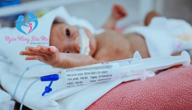 Đưa vào hoạt động ngân hàng sữa mẹ thứ 2 tại Việt Nam ảnh 1