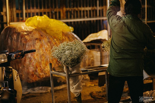 Chợ hoa đêm Quảng Bá điểm ‘check-in’ của giới trẻ Hà thành ảnh 13