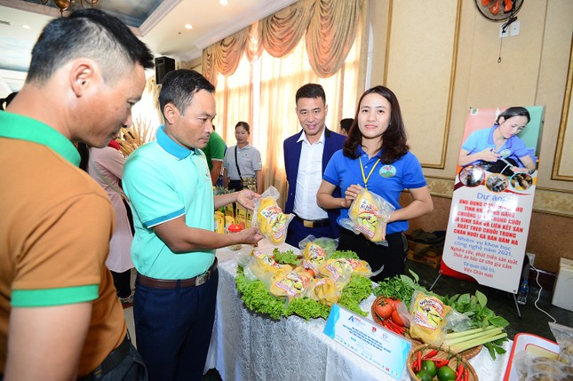 Đôi vợ chồng trẻ giành giải Nhất khởi nghiệp, với sản phẩm “Mát xa hoa dừa lấy mật” ảnh 12