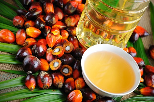 Loại dầu ăn nào thực sự tốt nhất cho bạn? ảnh 10
