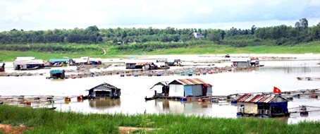 Nuôi cá… không cần cho ăn vẫn lớn vèo vèo ảnh 1
