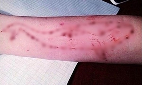 Những trào lưu không thể bỏ qua của giới trẻ năm 2017 ảnh 5