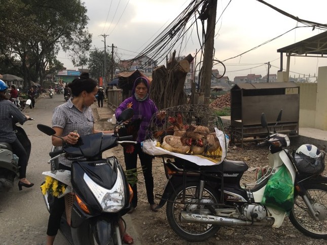 Rau xanh, hoa tươi ở Hà Nội rớt giá thê thảm sau Tết ảnh 2