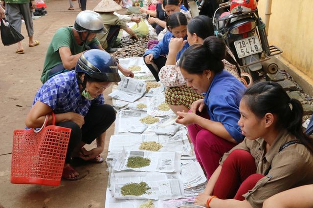 Chợ quê bán "đặc sản" côn trùng ở Hòa Bình nằm ở huyện nào?