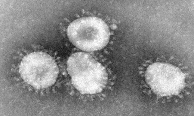 1001 thắc mắc: Ai là người đầu tiên phát hiện virus corona? ảnh 1
