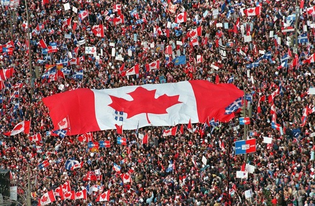 Hình chiếc lá trên quốc kỳ Canada là lá gì?