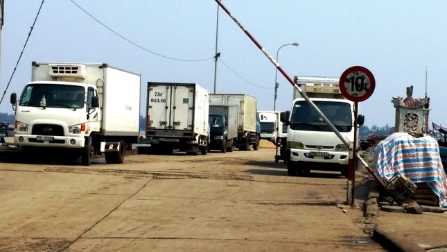 Huế tấp nập điểm bán hải sản sạch, sôi động cảng cá ảnh 2
