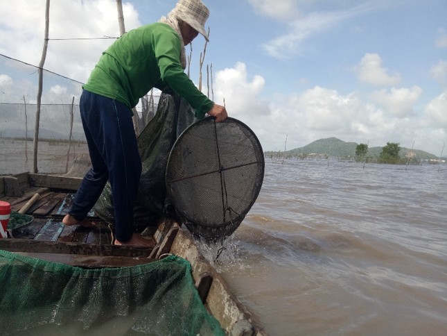 Đồng bằng sông Cửu Long bị tác động mạnh bởi biến đổi khí hậu ảnh 2