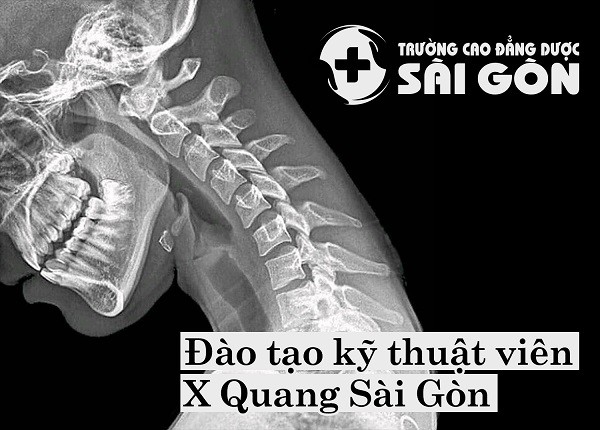 Đào tạo X-Quang siêu âm ngoài giờ hành chính ảnh 1
