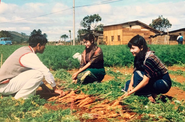 Khởi nghiệp thành công với nghề trồng rau quả hữu cơ ở các buôn làng ảnh 5