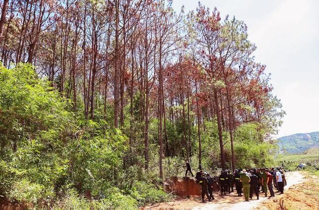 Mất hơn 777 ha rừng, 5 lãnh đạo sở ở Lâm Đồng chỉ ‘kiểm điểm rút kinh nghiệm’ ảnh 1