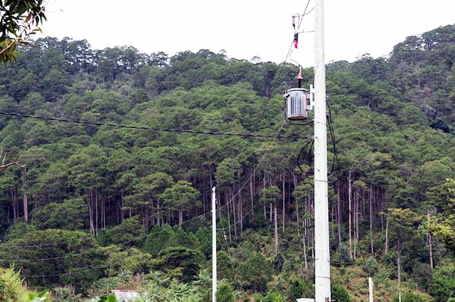 Chỉ đạo giải tỏa toàn bộ ngôi làng xây ‘chui’ trên đất rừng ảnh 2
