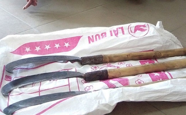 Bắt nóng 2 đối tượng chém người dã man giữa Đà Lạt ảnh 2