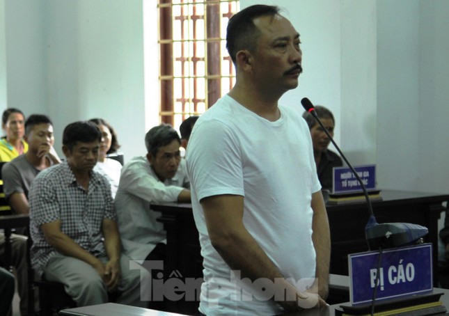 Vụ nhận gỗ lậu, liên tiếp được tặng 'chiến sĩ thi đua': Yêu cầu kiểm tra làm rõ ảnh 3