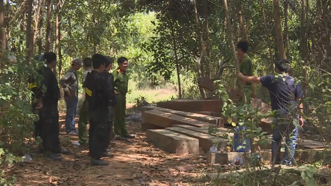 Đắk Lắk: Bắt 4 cán bộ công ty lâm nghiệp vì để mất rừng ảnh 1