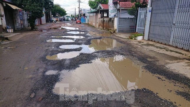 Đánh cược mạng sống trên những con đường dày đặc ‘ổ voi’ ảnh 4