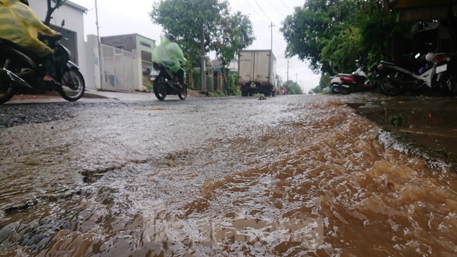 Đánh cược mạng sống trên những con đường dày đặc ‘ổ voi’ ảnh 2