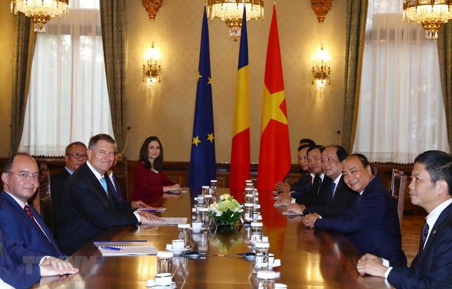 Thủ tướng hội kiến Tổng thống, Chủ tịch Thượng viện Romania ảnh 2