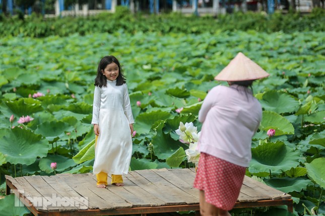 Hốt 'bạc triệu' mỗi ngày trong mùa sen Hồ Tây ảnh 12