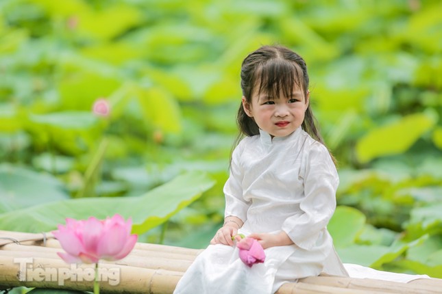 Hốt 'bạc triệu' mỗi ngày trong mùa sen Hồ Tây ảnh 13
