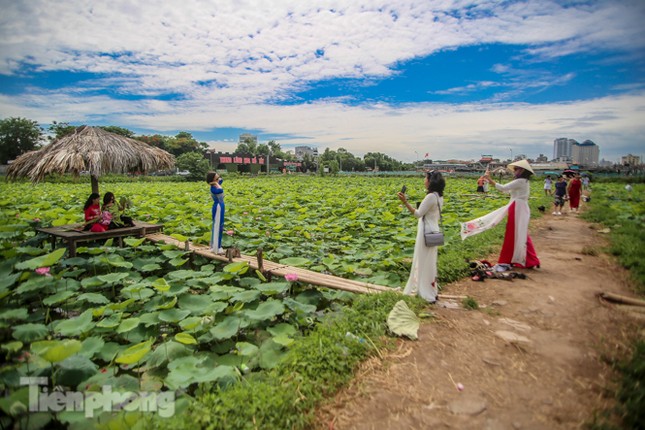 Hốt 'bạc triệu' mỗi ngày trong mùa sen Hồ Tây ảnh 1