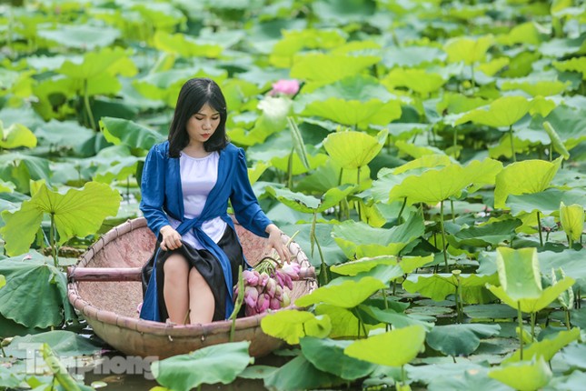 Hốt 'bạc triệu' mỗi ngày trong mùa sen Hồ Tây ảnh 8