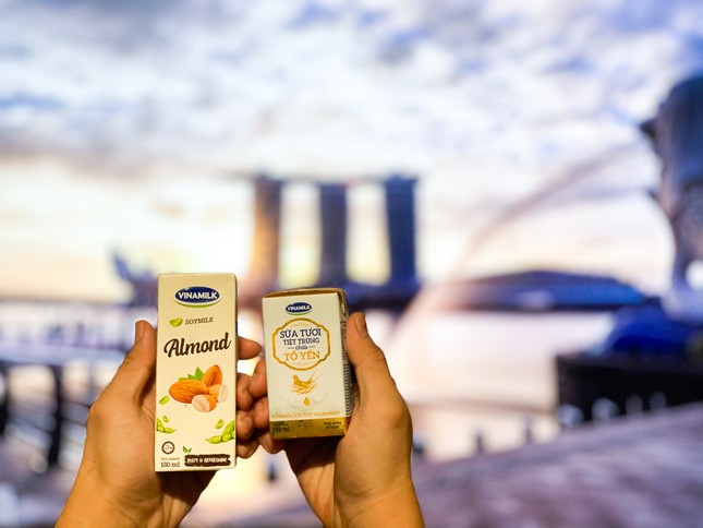 Vinamilk xuất khẩu sữa tươi chứa tổ yến đi Singapore ảnh 1