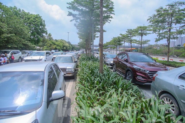 Chen chân ở vườn thú Hà Nội ngày nghỉ lễ Giỗ Tổ ảnh 3