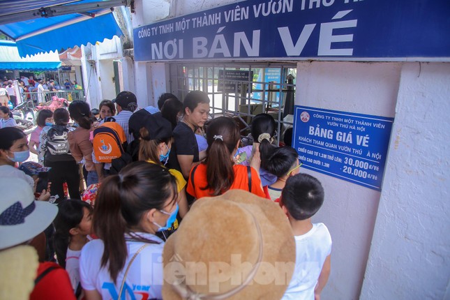 Chen chân ở vườn thú Hà Nội ngày nghỉ lễ Giỗ Tổ ảnh 4
