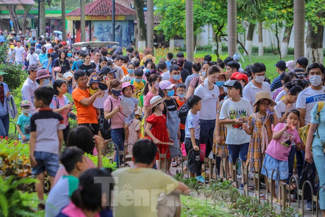 Chen chân ở vườn thú Hà Nội ngày nghỉ lễ Giỗ Tổ ảnh 5