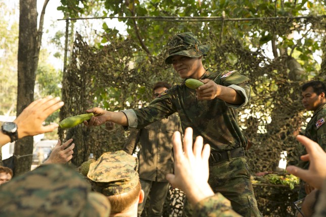 Lính Mỹ học cách ăn sống bọ cạp để tồn tại trong rừng ảnh 3