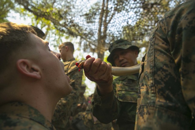 Lính Mỹ học cách ăn sống bọ cạp để tồn tại trong rừng ảnh 2