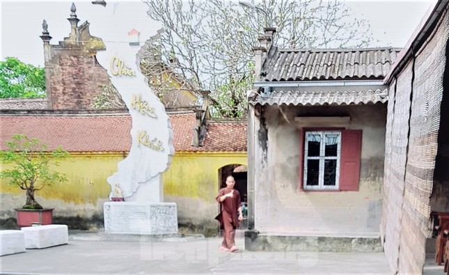 Sau dọa thả chó cắn 'nát mặt' phật tử, sư trụ trì nói gì? ảnh 1