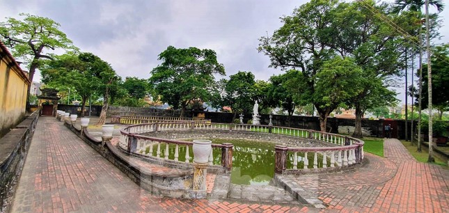 Sau dọa thả chó cắn 'nát mặt' phật tử, sư trụ trì nói gì? ảnh 4