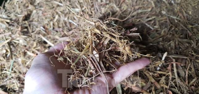 Thăm làng nghề làm hương thủ công nổi tiếng ở Hải Phòng ảnh 3