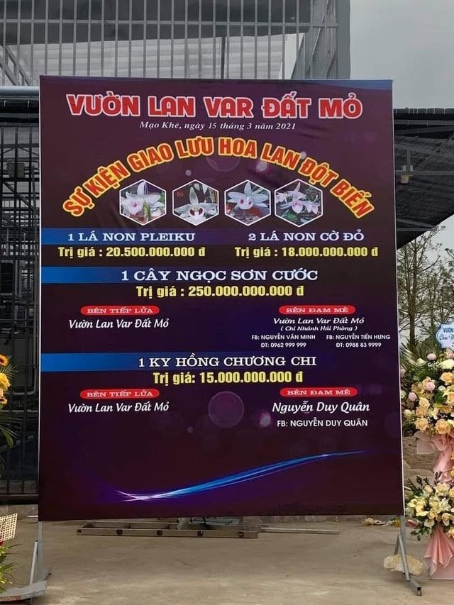 Công an vào cuộc vụ bán lan đột biến 250 tỷ đồng ở Quảng Ninh ảnh 3