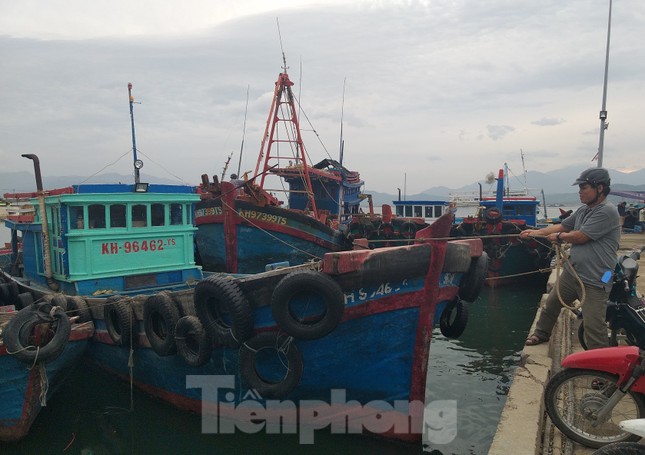 Hàng trăm tàu cá Khánh Hoà vào bờ neo đậu tránh bão số 5 ảnh 1