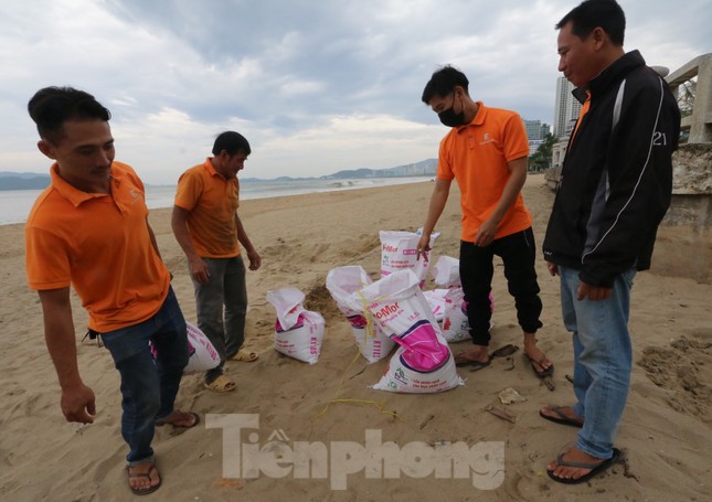 Dân Nha Trang ra biển xúc cát về chống bão ảnh 4