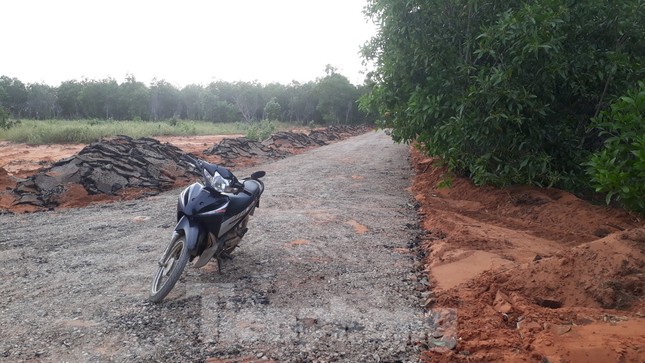 Dân tự ý làm đường nhựa trên đất nông nghiệp để phân lô bán nền ở Phan Thiết ảnh 1