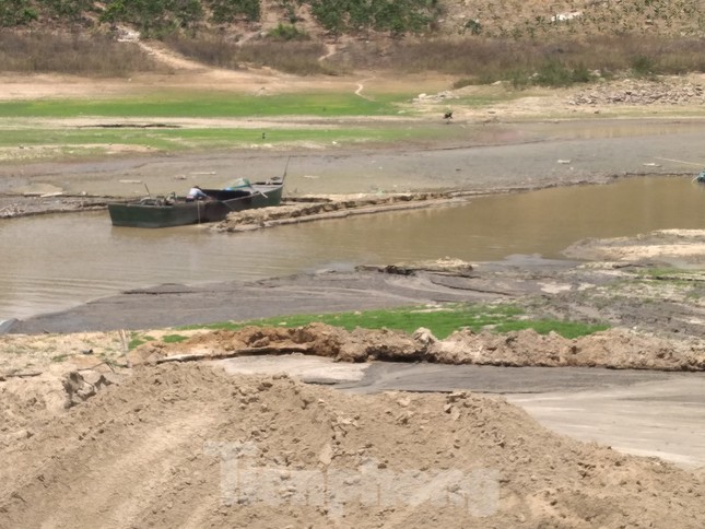 Khánh Hoà chỉ đạo xử lý khai thác cát trái phép tại hồ Cam Ranh, Suối Dầu ảnh 2