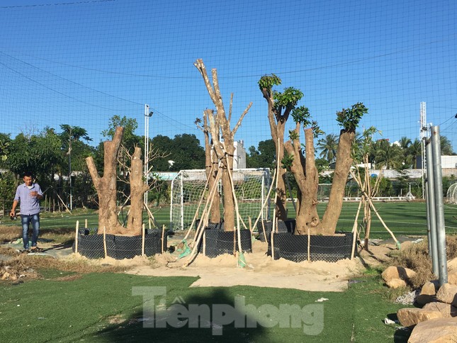 Cho thuê 18.000m2 đất sân vận động Cam Ranh với giá 'bèo' ảnh 4