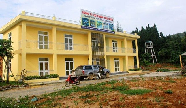 Dừng dự án nước ngoài trên đèo Hải Vân ảnh 1