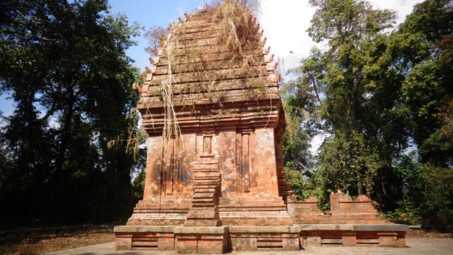Sững sờ tháp Chăm giữa đại ngàn ảnh 2