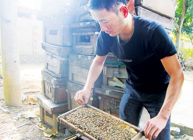 Ba “cây” sáng kiến chân đất ảnh 2