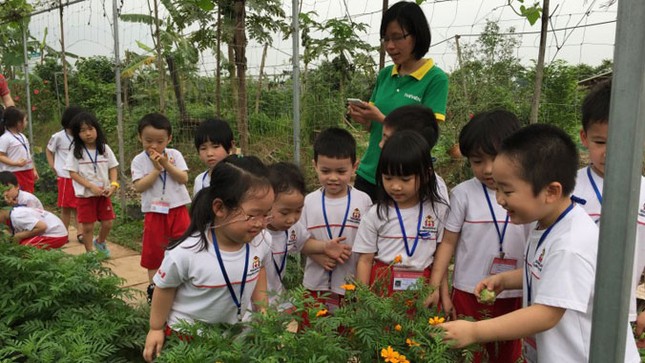 Tour thăm nông trại rau hữu cơ ảnh 1