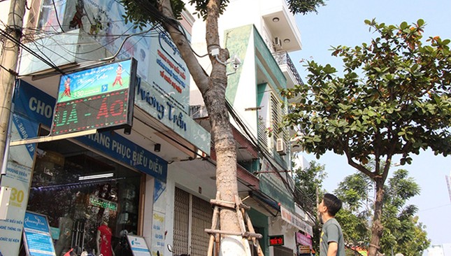 Chàng trai hiến hơn 100 'kế' cho thành phố ảnh 1