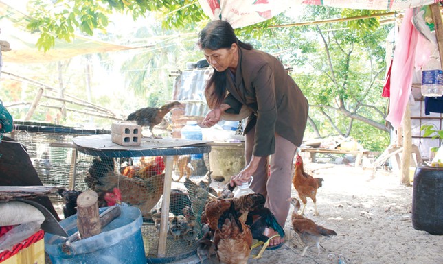 Về làng cũ ảnh 2